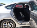 Photo 8 of 16 — 2014 Ford Fusion