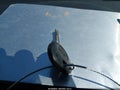 Photo 11 of 17 — 2008 Chevrolet Impala