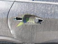 Photo 6 of 19 — 2018 Kia Niro
