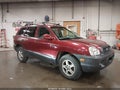 Photo 13 of 16 — 2004 Hyundai Santa Fe