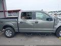 2019 Ford F-150 — photo 6 of 19 | VIN 1FTEW1E50KKC37299