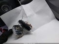 Photo 11 of 16 — 2011 Honda CR-V