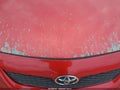 Photo 6 of 15 — 2010 Toyota Corolla