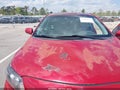 Photo 6 of 11 — 2010 Toyota Corolla