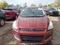 Photo 12 of 16 — 2014 Ford Escape