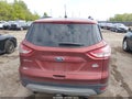 Photo 16 of 16 — 2014 Ford Escape
