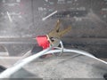 1994 Ford Ranger — photo 11 of 11 | VIN 1FTCR14AXRPB12482