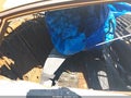 Photo 8 of 10 — 2023 Honda Civic