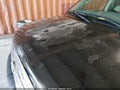 Photo 13 of 16 — 2008 Infiniti QX56