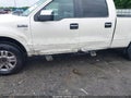 Photo 6 of 18 — 2008 Ford F-150
