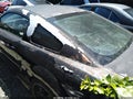 Photo 12 of 13 — 2006 Ford Mustang