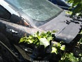 Photo 3 of 13 — 2006 Ford Mustang