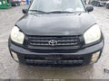 Photo 6 of 12 — 2002 Toyota RAV4