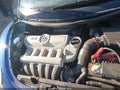 Photo 10 of 12 — 2008 Volkswagen Beetle