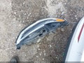 Photo 18 of 19 — 2020 Ford Fusion