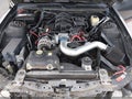 Photo 10 of 12 — 2008 Ford Mustang