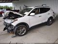 2017 Hyundai Santa Fe — photo 2 of 14 | VIN 5NMZU3LB1HH014026