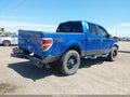 Photo 4 of 17 — 2009 Ford F-150