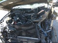 2016 Ford F-150 — photo 10 of 20 | VIN 1FTEW1EF6GKD08005