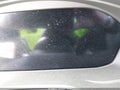 Photo 15 of 19 — 2021 Audi Q5