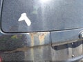 Photo 14 of 15 — 2010 Ford Escape