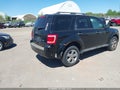 Photo 4 of 15 — 2010 Ford Escape