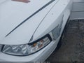 Photo 15 of 16 — 2001 Ford Mustang
