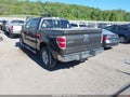 2009 Ford F-150 — photo 3 of 19 | VIN 1FTPW14V19FA53440