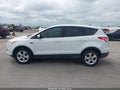 Photo 14 of 17 — 2016 Ford Escape
