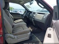 2010 Ford F-150 — photo 5 of 16 | VIN 1FTFW1EV0AFC01981