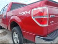 2010 Ford F-150 — photo 6 of 16 | VIN 1FTFW1EV0AFC01981