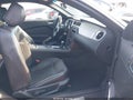 2013 Ford Mustang — photo 5 of 15 | VIN 1ZVBP8AM9D5251920