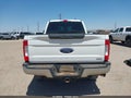 Photo 18 of 18 — 2019 Ford F-250
