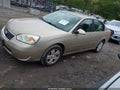 2006 Chevrolet Malibu Limited — photo 1 of 10 | VIN 1G1ZT51836F127999