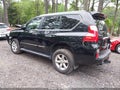 Photo 3 of 16 — 2010 Lexus GX 460