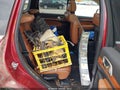 Photo 8 of 17 — 2012 Jeep Grand Cherokee