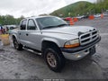 2003 Dodge Dakota — photo 1 of 16 | VIN 1D7HG38N13S296368