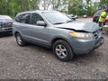 Photo 1 of 16 — 2007 Hyundai Santa Fe