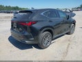 2025 Lexus NX 250 — photo 4 of 15 | VIN 2T2GDCAZXSC026420