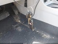 Photo 11 of 16 — 2010 Hyundai Accent