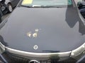 Photo 10 of 24 — 2023 Mercedes-Benz EQS