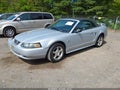 Photo 2 of 12 — 2004 Ford Mustang