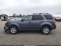 2010 Ford Escape Hybrid — photo 15 of 17 | VIN 1FMCU5K3XAKC44181