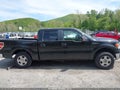 Photo 12 of 15 — 2010 Ford F-150