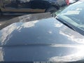 Photo 6 of 16 — 2014 BMW 3 Series