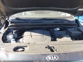 Photo 10 of 11 — 2016 Kia Sedona