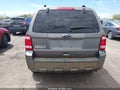 Photo 16 of 16 — 2010 Ford Escape