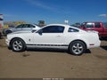 Photo 15 of 19 — 2007 Ford Mustang
