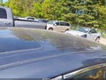 Photo 19 of 21 — 2019 Toyota Avalon