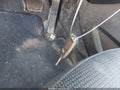 Photo 11 of 11 — 2017 Kia Forte